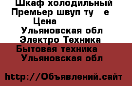 Шкаф холодильный Премьер швуп1ту1,4е › Цена ­ 20 000 - Ульяновская обл. Электро-Техника » Бытовая техника   . Ульяновская обл.